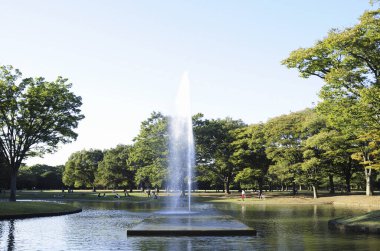 Yaz parkında gölün ortasında güzel bir çeşme.