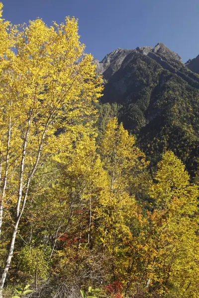 美丽的秋天山景 — 图库照片