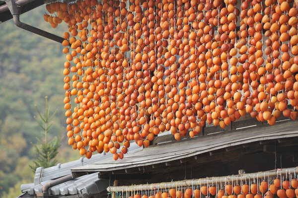 Сушеные persimmon.Traditional японской кухни.