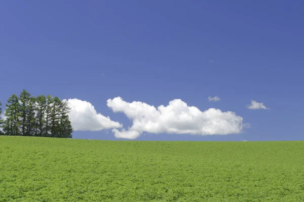 Hermoso Paisaje Con Campo Verde Cielo Azul Con Nubes — Foto de Stock