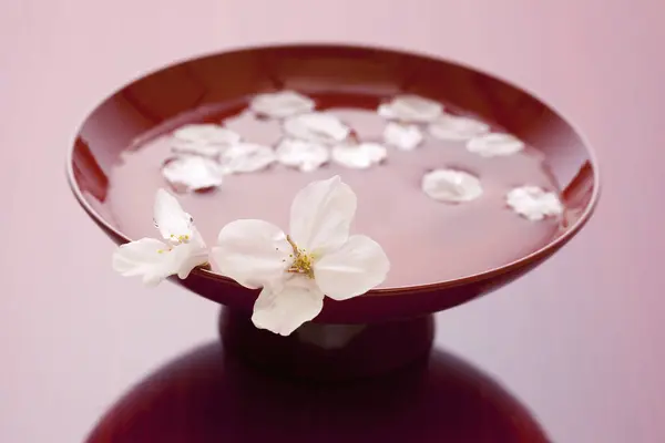 Närbild Vackra Körsbär Blommor Och Skål Med Vatten — Stockfoto