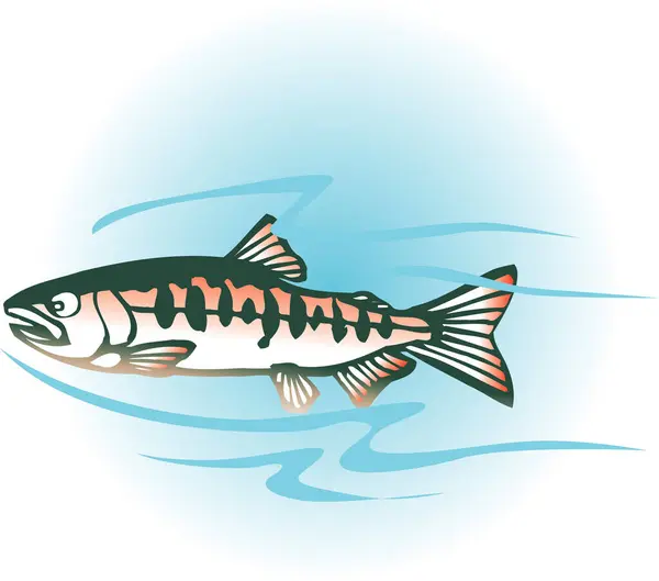 Stylized Cartoon Fish Illustration White — Stock Photo, Image