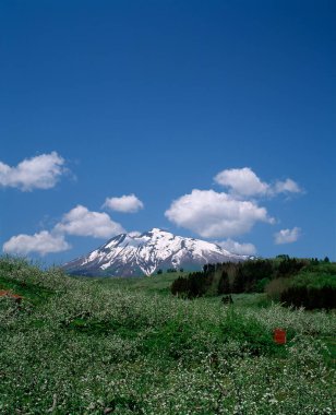 Çimlerle çevrili, karla kaplı bir dağ..