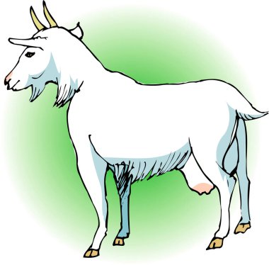 Keçi çizimi çizimi