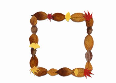 Yapraklardan yapılmış kare işareti