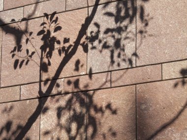 Gölgeli taş duvar dokusu