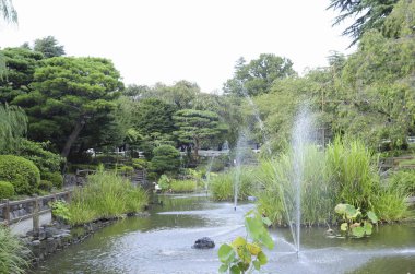 Yazın gölü ve çeşmeleri olan güzel Japon bahçesi.     