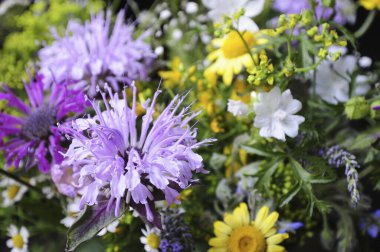 Yakın plan güzel bir buket taze çiçek.         
