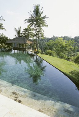 Tropik sonsuzluk havuzu yemyeşil bahçenin yanındaki palmiyeleri yansıtıyor.