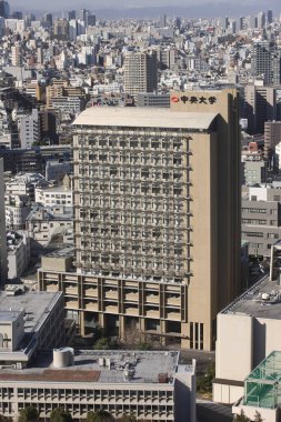 Tokyo şehrinin gündüz hava görüntüsü, Japonya