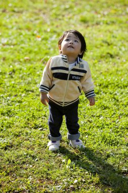 Parktaki çimlerde oynayan yakışıklı Asyalı çocuk. 
