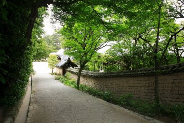 Parkta yeşil ağaçlar olan taş duvar ve patika.
