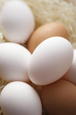 Sepette beyaz yumurta, makro fotoğraf.