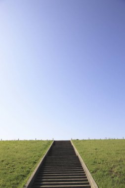 Mavi gökyüzünün altındaki yeşil çayır boyunca uzanan taş merdivenler..