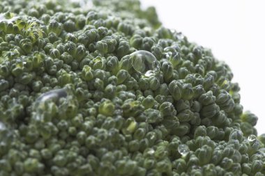 Beyaz arka planda taze bir brokoli..