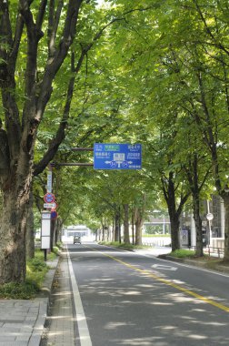 Yaz boyunca yeşil şehir parkı 