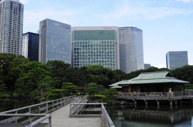 Şehirdeki modern binaların cepheleri