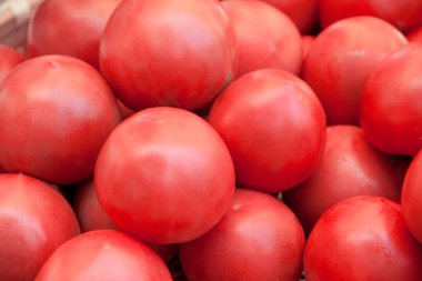 Taze kırmızı domates yığını