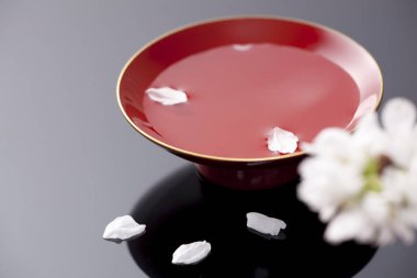 Güzel kiraz çiçekleri ve suyla dolu kase.    