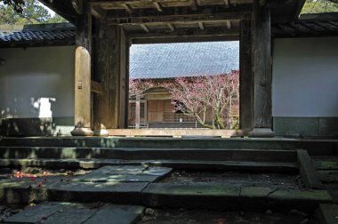 Güzel antik Japon tapınağının manzaralı görüntüsü.