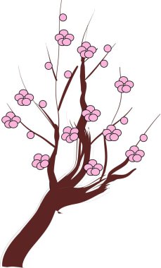 Beyaz arkaplanda sakura ağacı ile illüstrasyon 