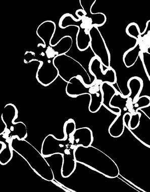 beyaz çiçekli siyah desen