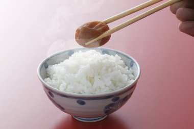 Japon yemeği, pirinç ve erik turşusu yakından görüntüsü.