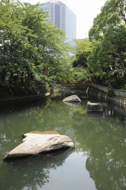 Parkta bir nehir manzarası