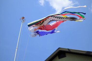 Park Plaza 'da sazan balığı. Osaka, Japonya