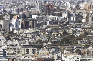 Tokyo şehrinin gündüz hava görüntüsü, Japonya