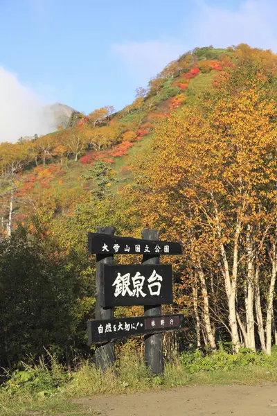 Autumn Landscape Tree Mountains — Stock Photo, Image