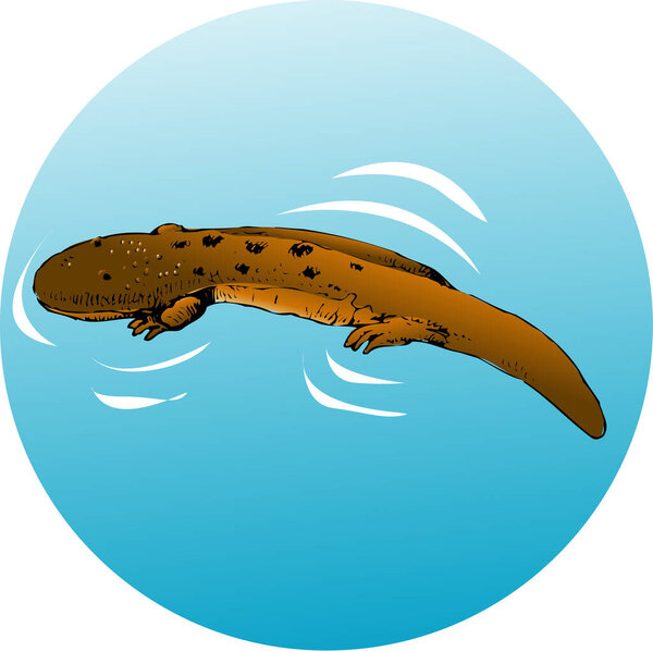 Простая иллюстрация морской твари