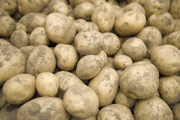 Close Potatoes Food Concept — Stock Photo, Image