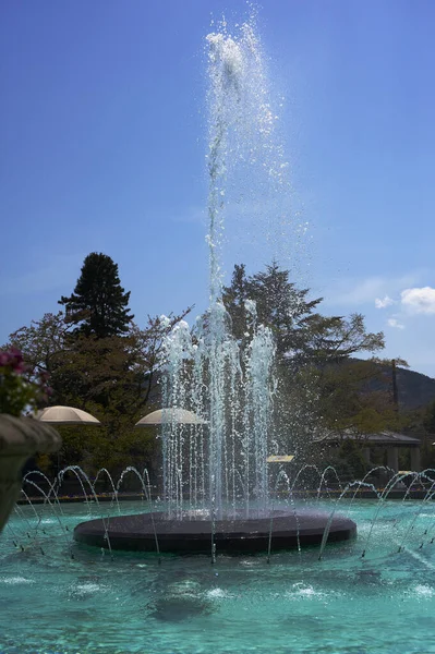 Bellissima Vista Della Fontana Nel Parco — Foto Stock