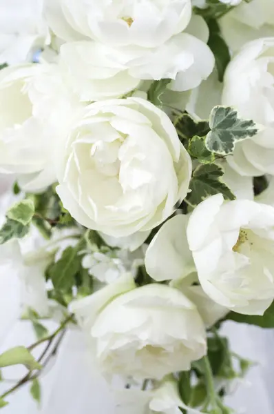 Schöne Weiße Rosen Auf Hintergrund Nahaufnahme — Stockfoto