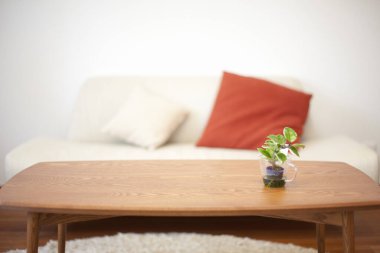 Boş ahşap masa ve oturma odasında kanepe.