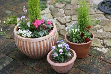 Masadaki saksılarda güzel çiçekler