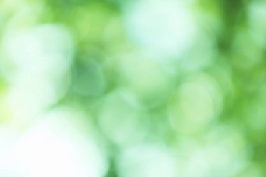 Bulanık doğa geçmişi. soyut doğal yeşil yapraklar bokeh arkaplan.