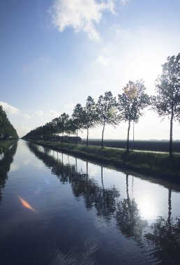 Kanalı ve yeşil ağaçları olan güzel bir manzara.     