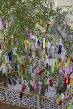 Japon Tanabata bayramının geleneksel unsurları olan süslü bambu dalları.