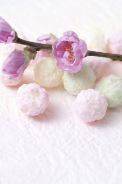 Daldaki güzel sakura çiçekleri 