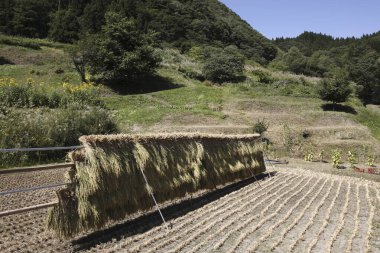Güneşli bir günde dağlardaki kırsal alan manzarası 