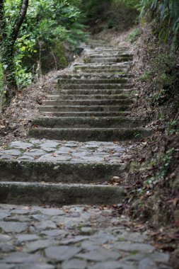 Taş merdivenler huzurlu yeşil şehir parkında dönüyor..