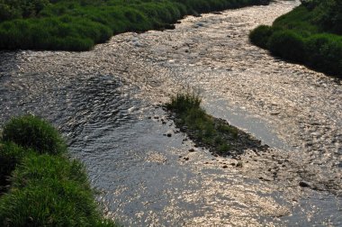 Yeşil arazide akan ışıldayan nehir