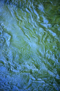 soyut yeşil su dokusu arkaplanı         