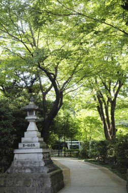 Tokyo 'daki Japon bahçesi manzarası