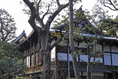 Ağaçlı geleneksel Japon mimarisi