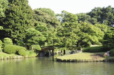 Yazın köprüsü, göleti ve yeşil ağaçları olan güzel Japon bahçesi.          