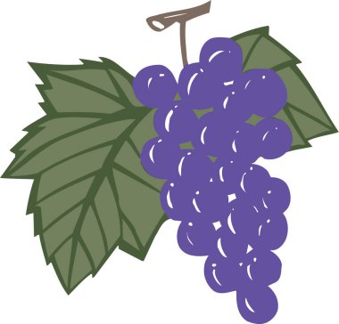 Yeşil yapraklı üzümler.