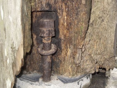 Paslı metal cıvata, aşınmış ahşap yüzeyden dışarı çıkıyor.